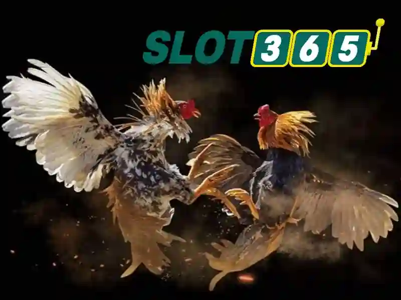 Slot365 apk