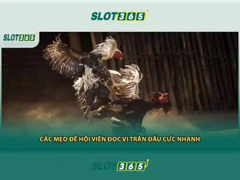 SLOT365 – Trang Chủ Raja Slot365 | Trải Nghiệm Slot Đỉnh Cao 2026