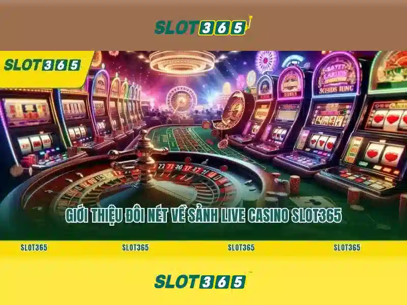 SLOT365 – Trang Chủ | Slot365 Có Uy Tín Không? Đánh Giá Chuyên Sâu 2026