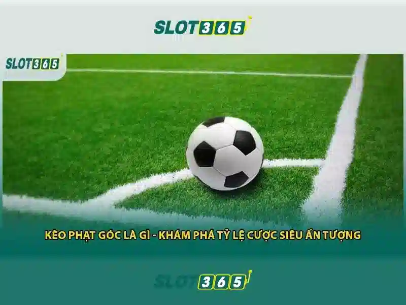 Trải nghiệm Slot365