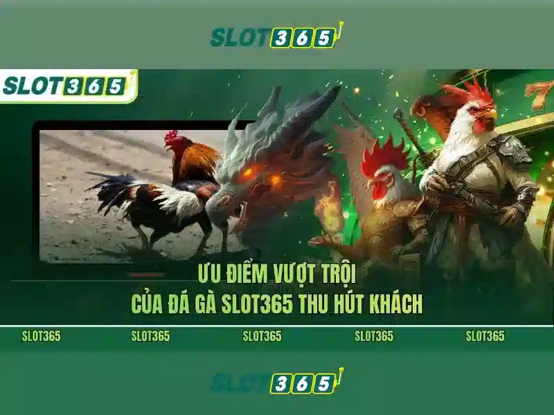 SLOT365 Tải