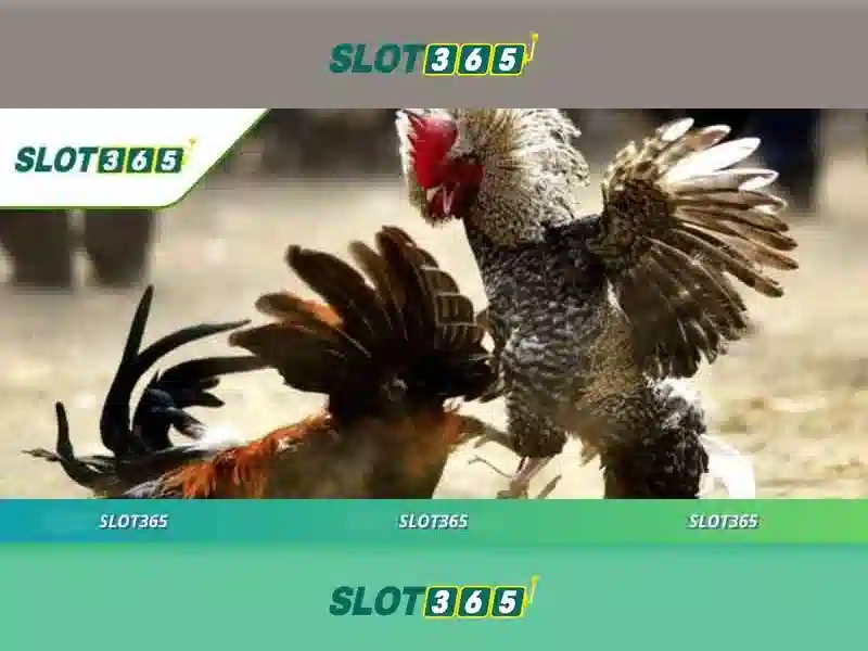 code Slot365 mới nhất