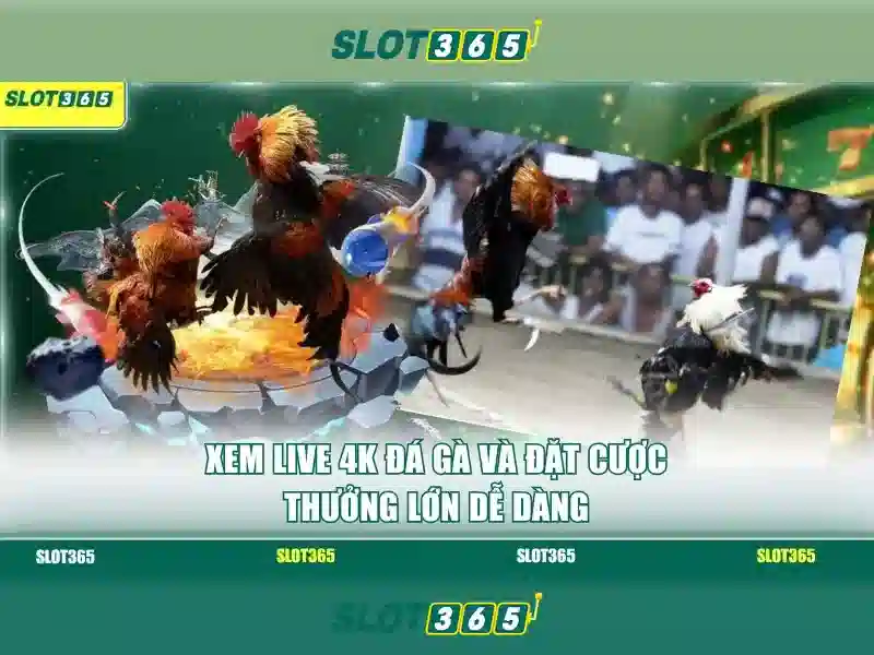 Công nghệ bảo mật slot365
