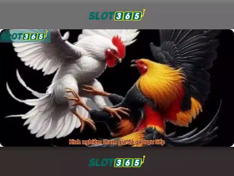 SLOT365 VN