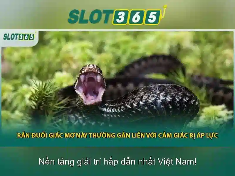 SLOT365