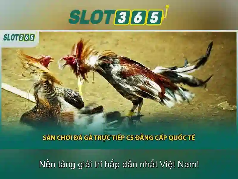 Trải nghiệm slot365 không bị chặn