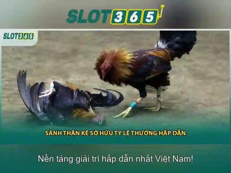 Truy cập slot365 không bị chặn 2026