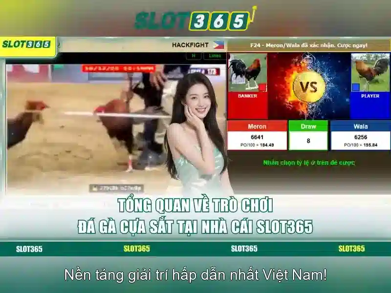 Hỗ Trợ Slot365