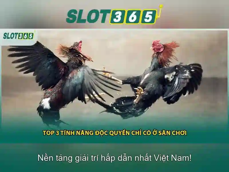 Slot365 Có Lừa Đảo Không