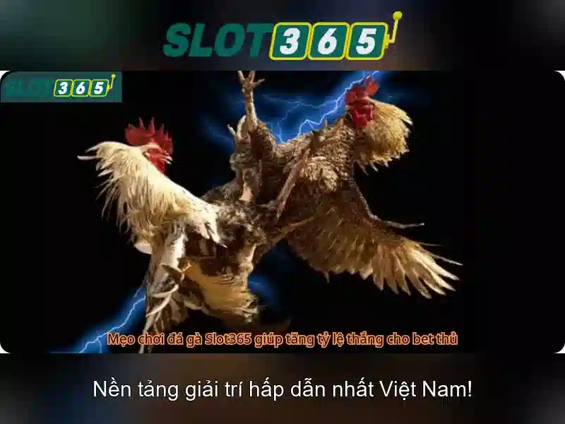 Trải Nghiệm Cực Hấp Dẫn
