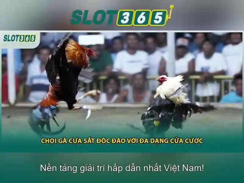Đăng Nhập Slot365 2026 – Link Vào Trang Chủ Slot365 Không Bị Chặn