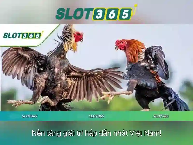 Giới Thiệu Về Slot365