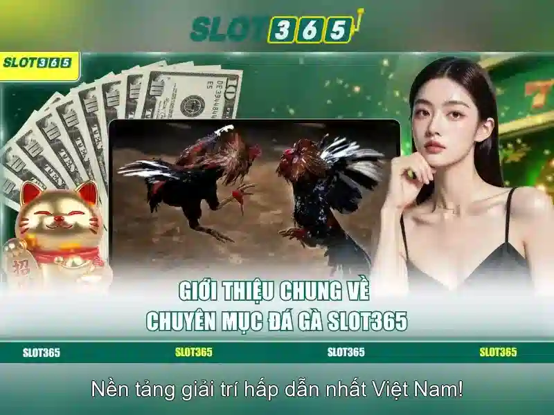 Slot365 Có Lừa Đạo Không