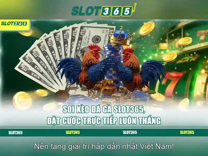 SLOT365 và Asia Slot365