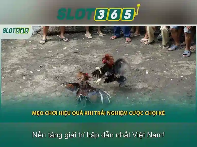 Dịch vụ hỗ trợ Slot365 của XN88