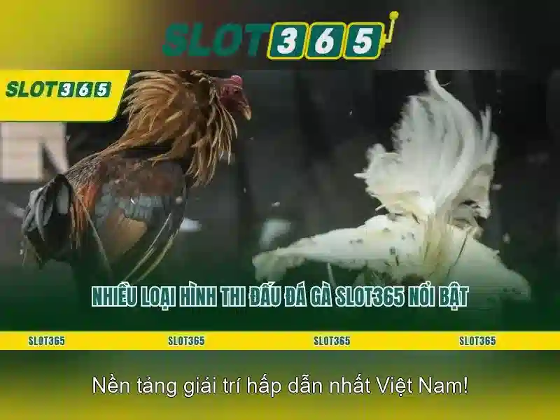 Phân Tích Thuật Toán Quay Slot Chuyên Sâu
