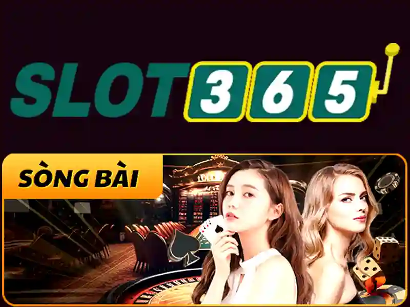 Hướng Dẫn Sử Dụng Điều Khoản Điều Kiện SLOT365