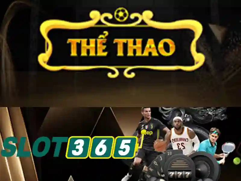 Điều Khoản Điều Kiện SLOT365