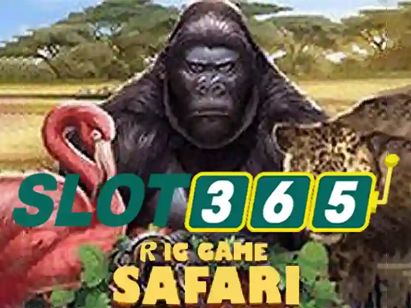 Tại Sao Chọn Slot365